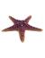 Laguna Грот "Морская звезда", полиэфирная смола, 16*16*3 см - Фото 3