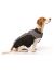 Dog Gone Smart Куртка демисезонная "NanoBreaker Jacket" для собак, черная с серым, длина спины 50 см - Фото 2