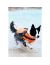 Hurtta Lifeguard Жилет спасательный светоотражающий для собак, желтый, вес до 5 кг - Фото 7