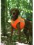 Hurtta Polar vest Жилет светоотражающий "Полярный", для собак, оранжевый, размер XXS - Фото 8