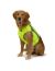 Hurtta Polar vest Жилет светоотражающий "Полярный", для собак, желтый, размер XXS - Фото 3