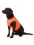 Hurtta Polar vest Жилет светоотражающий "Полярный", для собак, оранжевый, размер XXS - Фото 3