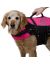 Hurtta Lifeguard Жилет спасательный светоотражающий для собак, желтый, вес до 5 кг - Фото 4