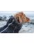 Hurtta Downpour Suit Комбинезон для собак, черный, размеры 25M - 35M - Фото 4