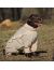 OSSO Fashion Комбинезон с ловушками от клещей, для собак (ДЕВОЧЕК), размеры 45 - 70 - Фото 9