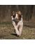 OSSO Fashion Комбинезон с ловушками от клещей, для собак (ДЕВОЧЕК), размеры 25 - 40 - Фото 10