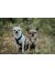 Hurtta Casual Y-Harness Шлейка для собак, красная - Фото 3