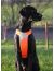 Hurtta Dazzle Шлейка для собак, оранжевая - Фото 9