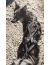 Hurtta X-sport Harness Шлейка для собак, черная - Фото 4