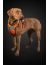 Hurtta Dazzle Шлейка для собак, оранжевая - Фото 7