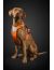 Hurtta Dazzle Шлейка для собак, оранжевая - Фото 8