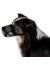 Trixie Сетка на морду - защита от отравленных приманок для собак - Фото 2
