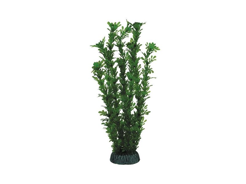 Triol Laguna Растение 2961 "Лигодиум" зеленый, 300 мм - Фото