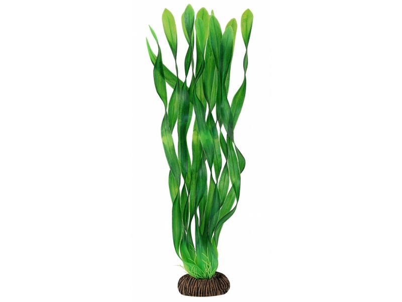 Triol Laguna Растение 3455 "Валлиснерия" зеленая, пластик/керамика, 340 мм - Фото