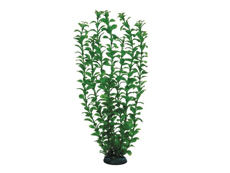Triol Laguna Растение 4689 "Людвигия" зеленая, пластик/керамика, 400 мм - Фото