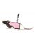 Trixie Шлейка-жилетка с поводком для крысы (61511), 12-18 см/1,2 м  - Фото 2