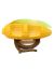 PennPlax Кормушка внутренняя "Кукуруза", для птиц, 15*11*10 см  - Фото 6