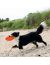 Trixie Диск для фрисби, для игры на воде и суше, для собак, силикон - Фото 5