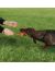 Trixie Игрушка "Long-Mot" для активных собак, натуральный каучук (3231), 10 см  - Фото 3