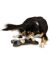 Trixie Игрушка "Game done", развивающая, для собак (32021), 31*20 см - Фото 3