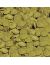 SERA WELS CHIPS Корм для сомиков (глубоководных анциструсов и плекостомусов) - чипсы - Фото 4