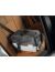 Stefanplast Переноска для АВИАПЕРЕВОЗОК для собак и кошек (до 5 кг) Gulliver 1 Delux, 48*32*31 см с миской и металлической дверцей - Фото 4