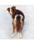 OSSO Fashion Трусы многоразовые "ABSORB" для собак - Фото 5