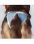 OSSO Fashion Трусы многоразовые "ABSORB" для собак - Фото 6