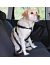 Trixie А\м ремень безопасности для собак (1293), 80-110см (XL)   - Фото 2