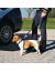 Trixie А\м ремень безопасности для собак (1288), 20-50см (XS) - Фото 3