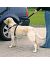 Trixie А\м ремень безопасности для собак (1293), 80-110см (XL)   - Фото 3