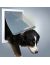 Trixie Дверца для собак, белая (3879), 30,8*38 см  - Фото 2