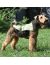 NEW OSSO Fashion Охлаждающая попона для собак - Фото 2