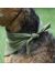 NEW OSSO Fashion Косынка охлаждающая для собак - Фото 4