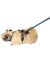 Гамма Шлейка с поводком для морской свинки, капрон, 120 см - Фото 3
